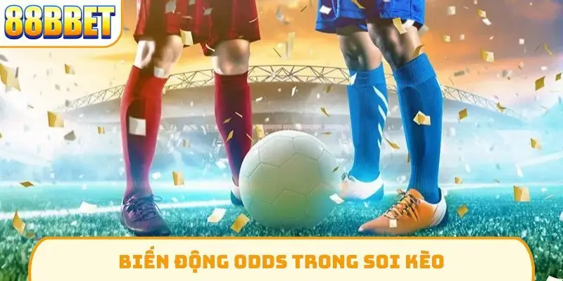 Biến động odds trong soi kèo
