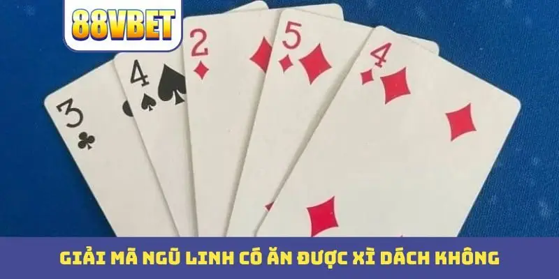 Giải mã ngũ linh có ăn được xì dách không